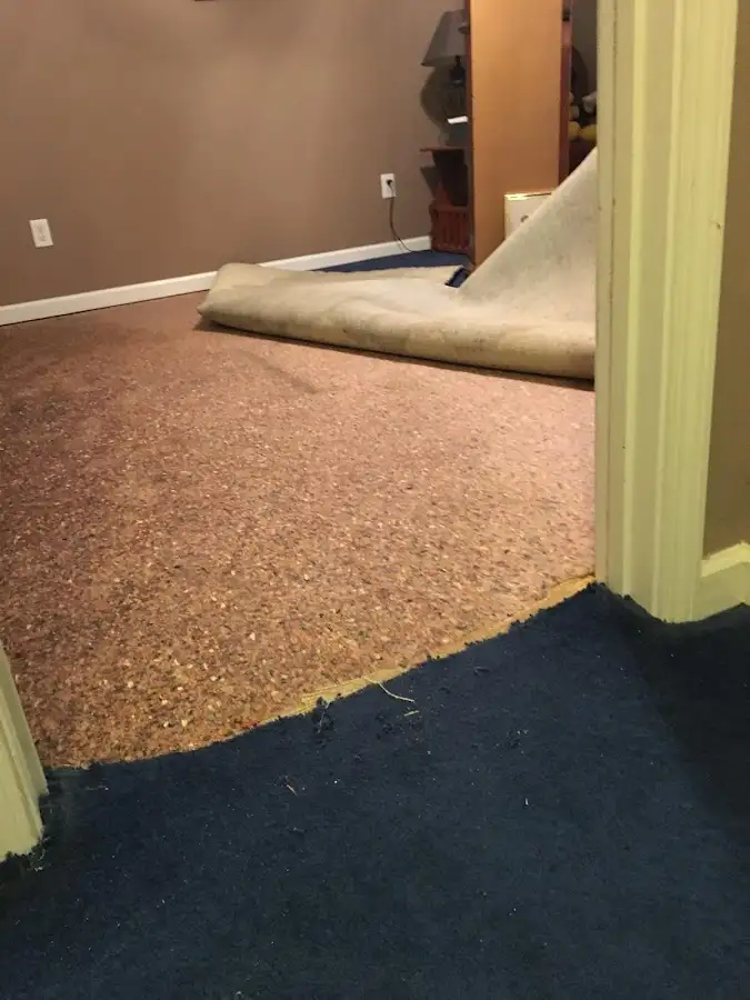 Carpet pad removal revealing water damage during Drying & Dehumidification in Jensen Beach