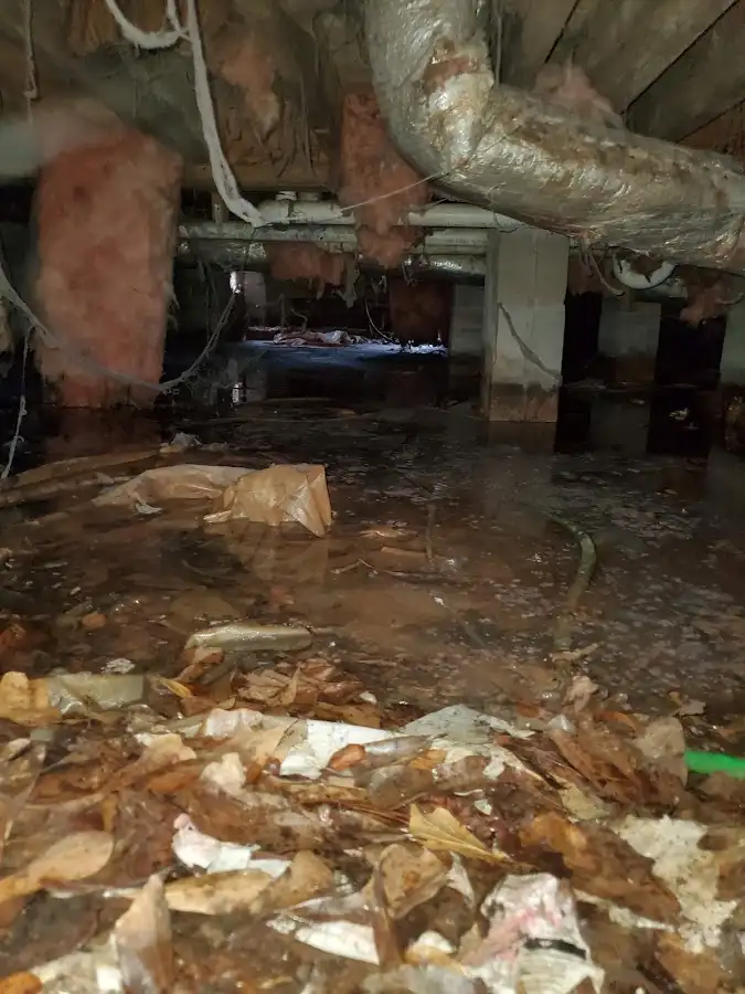Crawl space flood assessment for Leak Detection & Repair in Jensen Beach